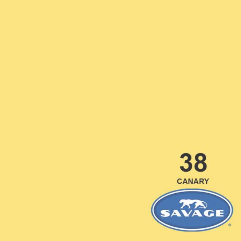 107"x12yds Savage Seamless Background Paper