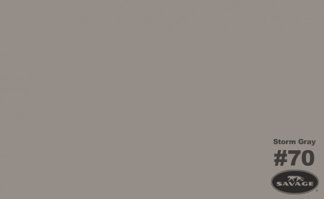 Savage Widetone Seamless Background Paper 140" x 105' - Storm Gray CONTACT US FOR FREIGHT QUOTE