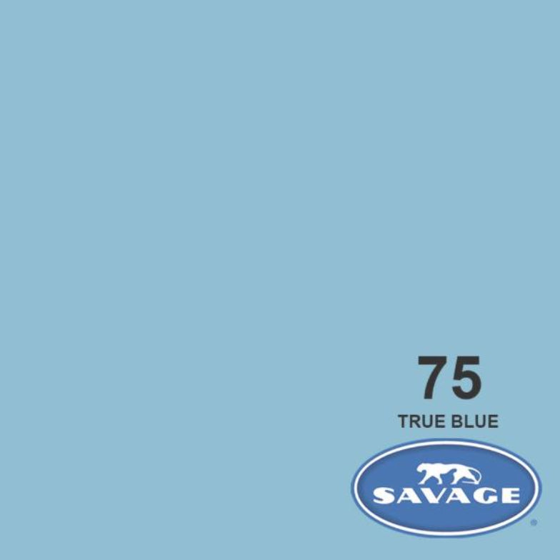 107"x12yds Savage Seamless Background Paper
